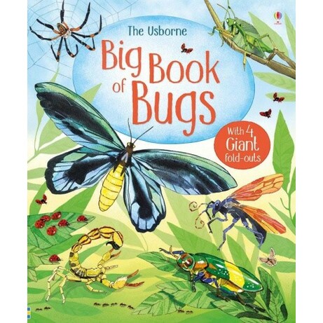 Usborne. Обучающая Большая книга о насекомых (англ. язык) (9781474928960)