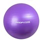 Без ТМ. Мяч для фитнеса Profi﻿ 65 см Фиолетовый (6903176460019)