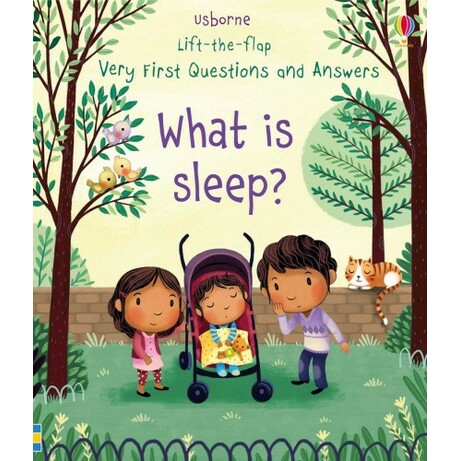 Usborne. Обучающая книга "Зачем мы спим?" (англ. язык) (9781474940108)
