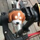 Zoonimal. Фонарик-мигалка для детского велосипеда Собака, LED, на руль. Свечение: Белый (21244301070