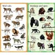 Usborne. Обучающая книга 199 животных из зоопарка (англ. язык) (9781474936927)
