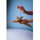 Hansa. Летучая мышь, 37 см,реалистичная мягкая игрушка (4806021930649)