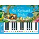 Usborne. Книга із звуковими ефектами Big Keyboard Boo на англійському(9781474921176)