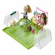 Barbie. Ігровий набір "Футбольна команда Челсі"   (GHK37)
