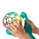Oball. Игрушка-каталка Oball "2-in-1 Roller" (74451117853)