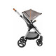 Lionelo. Детская коляска универсальная 2 в 1 GREET STROLLER (050200)