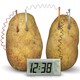 4M. Набір для досліджень Картопляні годинник (00-03275)