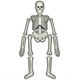 4M. Набір для вивчення скелета людини (00-03375)