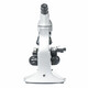 SIGETA. Мікроскоп SIGETA ENTERPRIZE 40x-1280x LED Mono (65249)