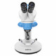 SIGETA. Мікроскоп SIGETA MS-214 LED 20x-40x Bino Stereo (65229)