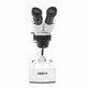 SIGETA. Мікроскоп SIGETA MS-217 20x-40x LED Bino Stereo (652700)