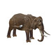 Hope Winning. Заводной 3D пазл "Слон" (HWMP-61)