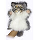 Hansa. Манул дикий кіт Hansa 40 см, реалістична м'яка іграшка на руку (4806021975190)