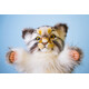 Hansa. Манул дикий кот Hansa 40 см, реалистичная мягкая игрушка на руку (4806021975190)