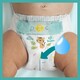 Pampers. Підгузки Active Baby Розмір 4 (Maxi) 9-14 кг 49 шт (8001090949851)