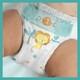 Pampers. Підгузки Active Baby Розмір 4 (Maxi) 9-14 кг 49 шт (8001090949851)