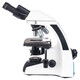 SIGETA. Микроскоп SIGETA BIOGENIC 40x-2000x LED Bino Infinity (65259)