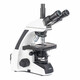 SIGETA. Мікроскоп SIGETA BIOGENIC 40x-2000x LED Trino Infinity (65260)