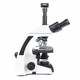 SIGETA. Микроскоп SIGETA BIOGENIC 40x-2000x LED Trino Infinity (65260)