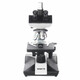 SIGETA. Мікроскоп SIGETA MB-303 40x-1600x LED Trino (65213)