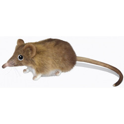 Hansa. М'яка іграшка Слонова миша, довжина 14 см (7233)