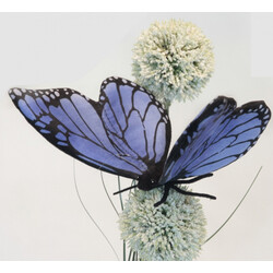 HANSA. М'яка іграшка. Блакитна метелик, ширина 14 см (6552)