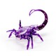 HEXBUG. Нано-робот HEXBUG Scorpion в ас. (409-6592)