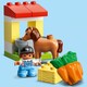 LEGO. Конструктор LEGO Duplo Конюшня и уход за пони (10951)