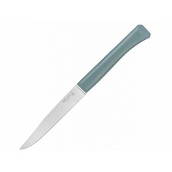Opinel. Нож кухонный Opinel Bon Appetit Plus ц:серо-зелёный (204.66.33)
