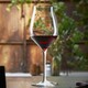 Бокал Luigi Bormioli Vinea красное вино С 468, 45 сl, 6 шт/уп (11834/01)