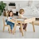 Комплект стол детский с двумя ящиками 80 см и 2 стула растущий ясень (00070027)