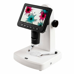 Цифровий мікроскоп SIGETA Numeric 10x-300x (65509)