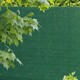 Бамбукова огорожа Tenax Colorado 1х5m зелена (66401)