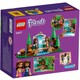 Конструктор LEGO Friends Лісовий водоспад (41677)