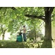 Подрібнювач садовий Bosch AXT 25 D малошумний, 40мм, 2.5кВт, 31.3кг (0.600.803.100)