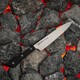 Нож кухонный Samura универсальный 150 мм Black (SHR-0023B)