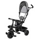 Триколісний дитячий велосипед Free2Move ELIPSO black grey (81590)