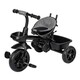 Триколісний дитячий велосипед Free2Move ELIPSO black grey (81590)