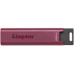 Накопичувач Kingston 256GB USB 3.2 Gen 2 DT Max Type-A (DTMAXA/256GB)