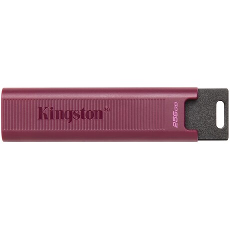 Накопичувач Kingston 256GB USB 3.2 Gen 2 DT Max Type-A (DTMAXA/256GB)