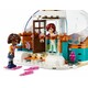 Конструктор LEGO Friends Праздничные приключения в иглу (41760)