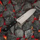 Нож кухонный Санток 175 мм Samura Harakiri Black (SHR-0095B)